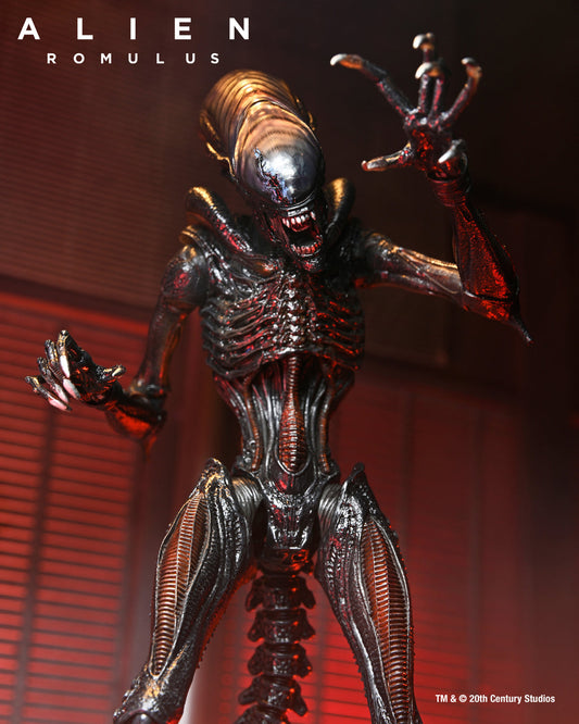 Pre-order February 2025 Alien: Romulus Ultimate Scorched Xenomorph