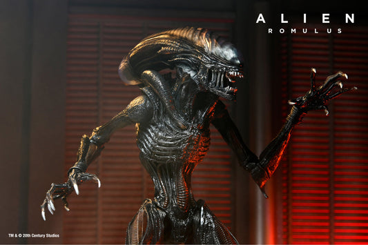 Pre-order February 2025 Alien: Romulus Ultimate Scorched Xenomorph