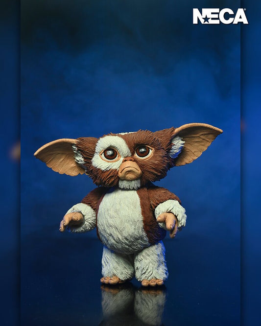 Pre-order February 2025 NECA Gremlins: “Evolution of a Gremlin” 40th Anniversary Box Set